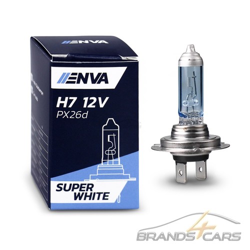 Enva 12v 55w glühbirne - 12v,